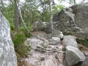 2018-05-24 14-52-00  Rando Fontainebleau FGn